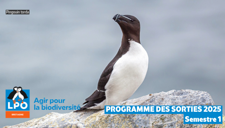 Le nouveau programme des sorties 2025 Semestre 1 est disponible !